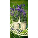 Textilposter Lavendel Motiv Fr&uuml;hling Sommer Blumen...